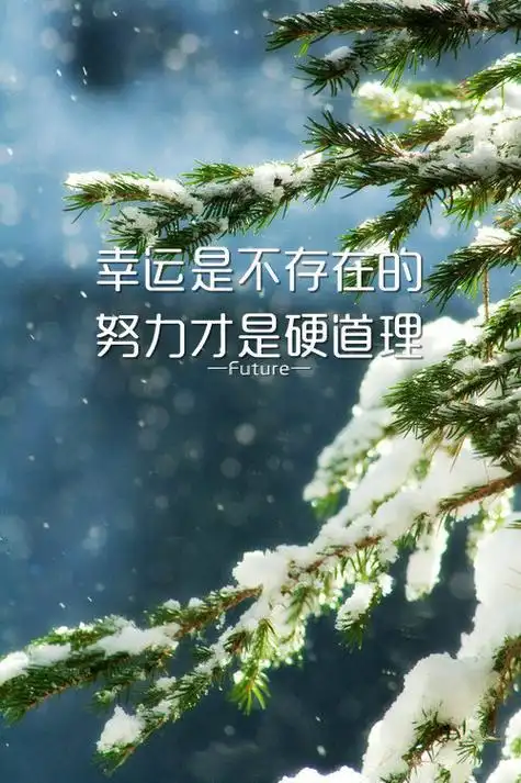 有意境带文字的励志皮肤 向前看你会活的更好-励志皮肤