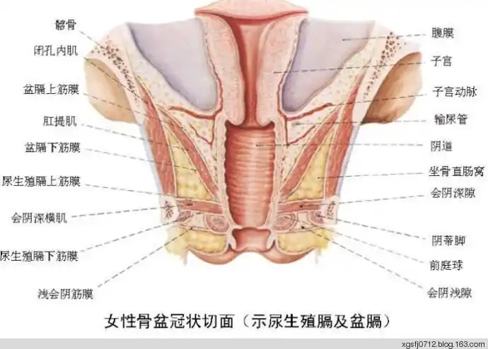 2017年02月08日 - 追梦 - 可奈金残玉正愁,泪痕无尽笑何由.