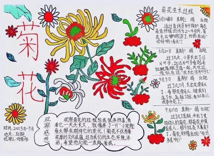 美丽中国 我是行动者 | 2022年福建省青少年自然笔记征集活动获奖作品