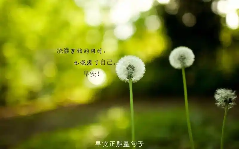 早安带字图片大全唯美 微信早安心语唯美配图