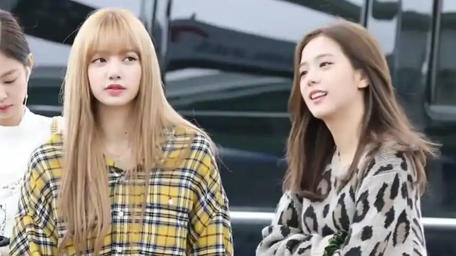 荔枝cp可二改 lisa jisoo 二改注明星河邮递 - 堆糖,美图壁纸兴趣社区