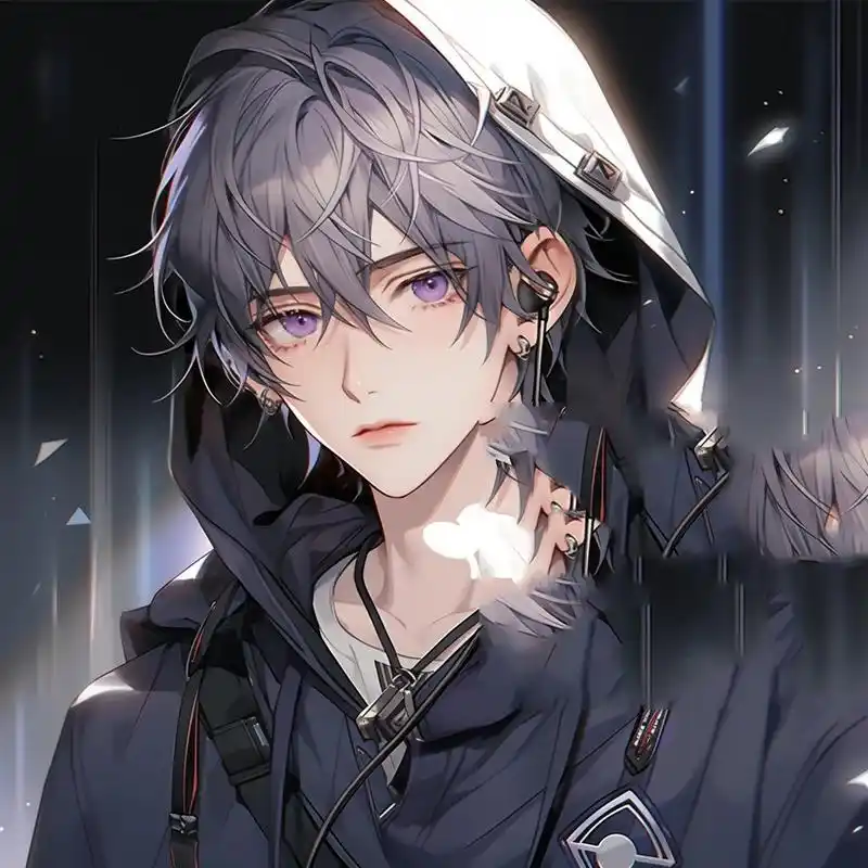 男生头像|紫发连帽外套帅气高冷校草