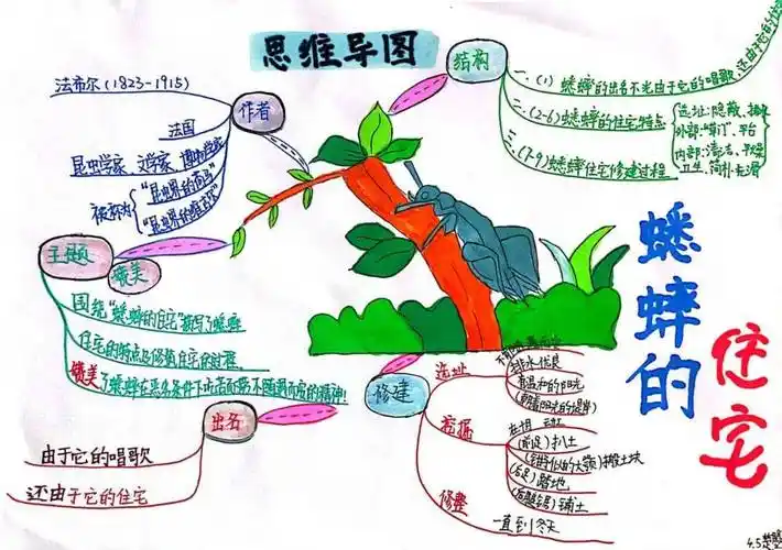 【书香四班——爱,让我们在一起】《蟋蟀的住宅》思维导图实践作业