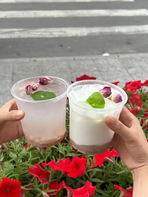 茉沏苏州限定奶茶07荷花奶茶03