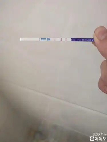 早孕试纸测试怀孕的时间及使用方法"助孕步骤"-第1张图片-可柔博客