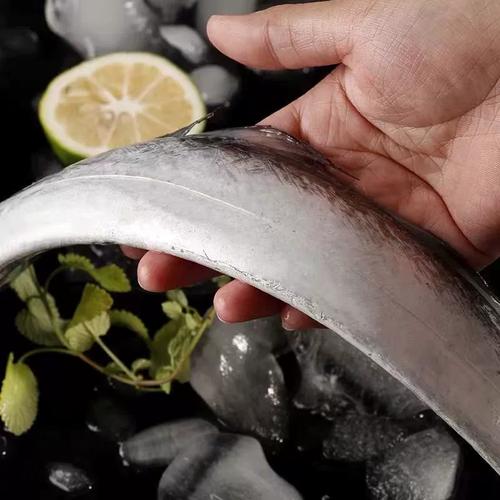 带鱼鲜活冷冻整条超大小眼带鱼新鲜刀鱼特大海鱼东海非带鱼段整箱