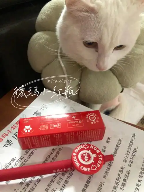 的机会了解到了德玛小红瓶,12月11日的时候发现了一只受伤的流浪猫