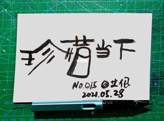 艾伦毛笔字no017珍惜当下