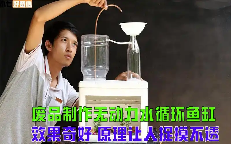 小伙用泡沫箱自制无动力水循环鱼缸,效果奇好,原理让人捉摸不透