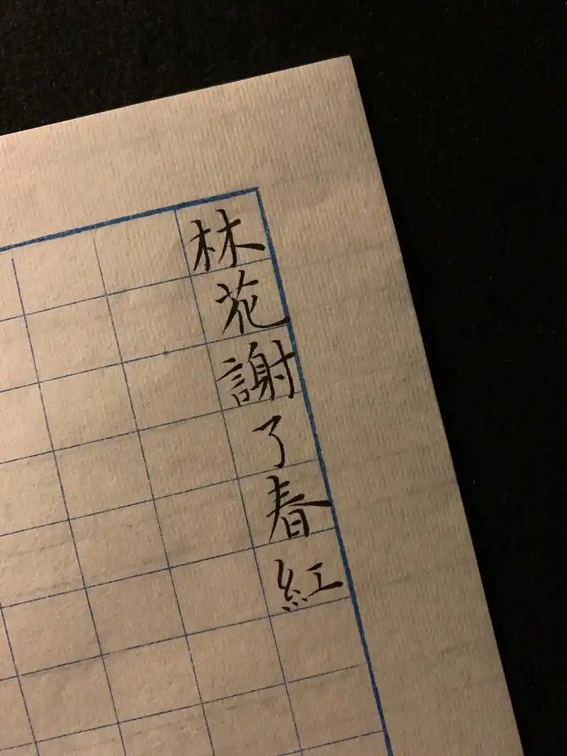 书法 相见欢 - 抖音