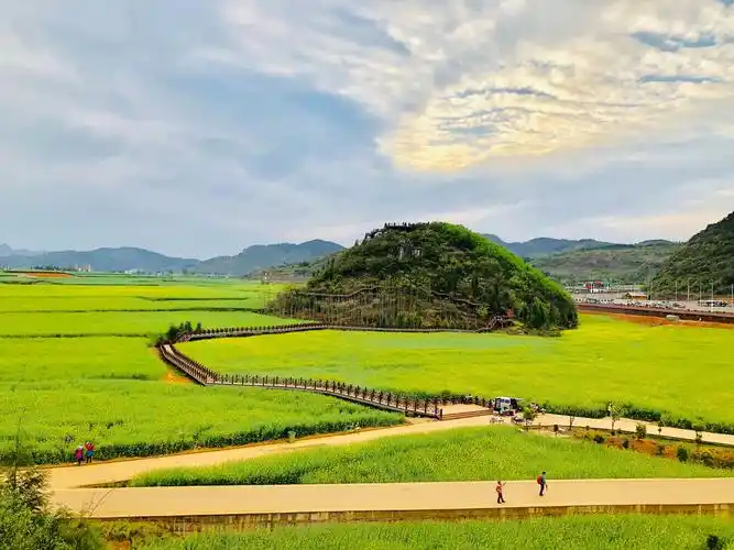 《中国最美自然与人文景观自驾旅行》9:云南罗平峰林!