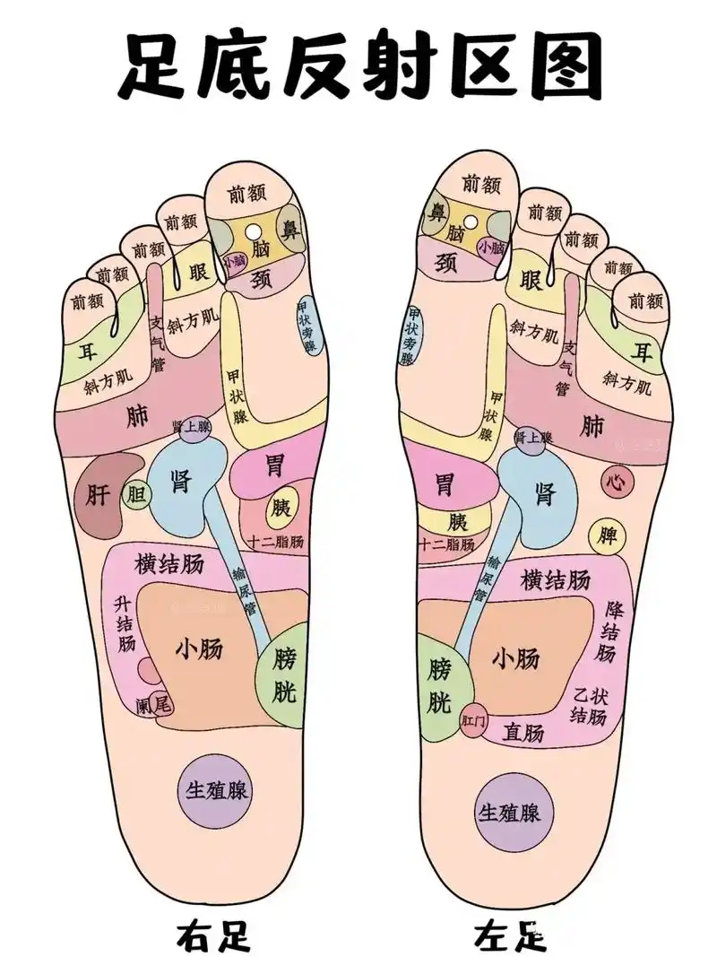 护士懂护士 #足底反射区 #护士 #护师 #护 - 抖音