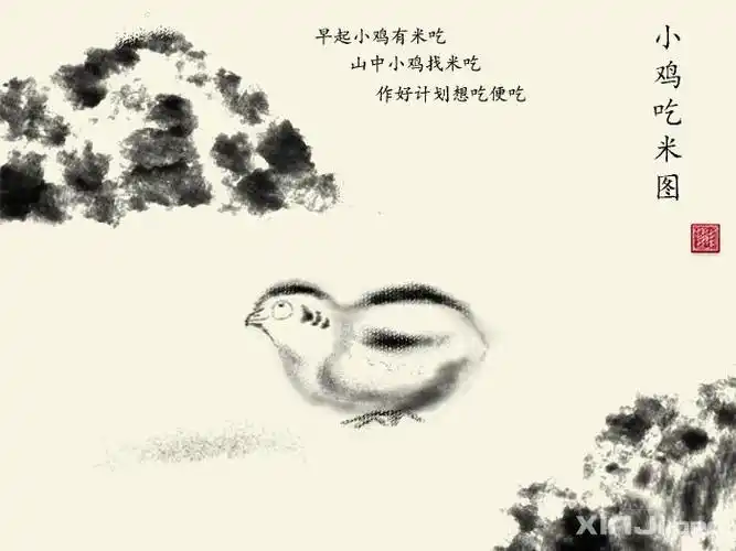 发一些小鸡吃米图,与杨云涛大师共勉