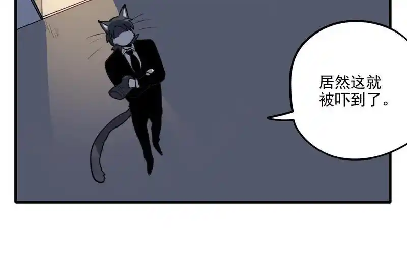 猫男子与犬男子