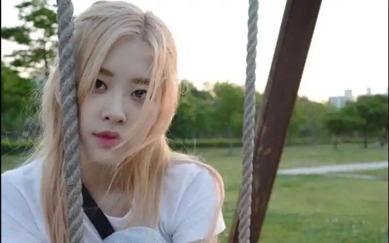 彩英solo大发!gone翻唱