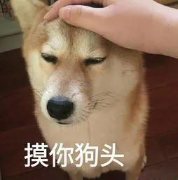 抖音狗头保命表情包