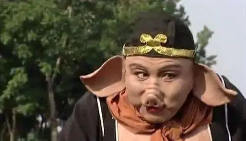 猪八戒离开高老庄后,他的媳妇高翠兰去哪了?