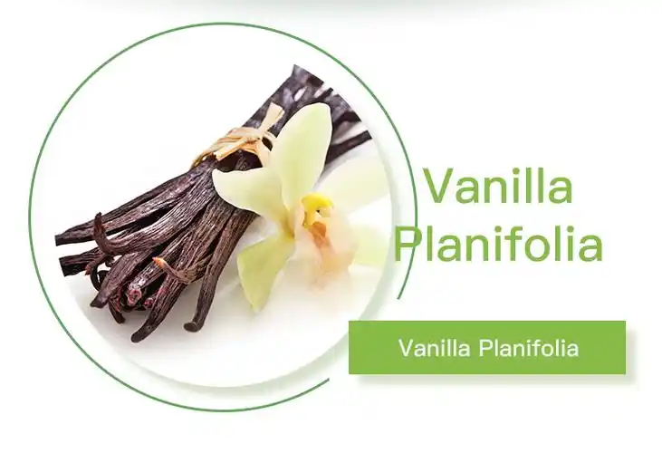 grade aaa wholesale black organic vanilla planifolia
