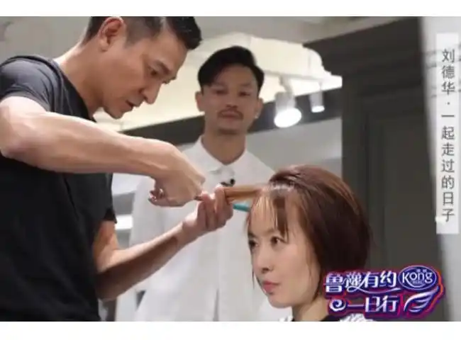 刘德华鲁豫有约剪头发_发型图片