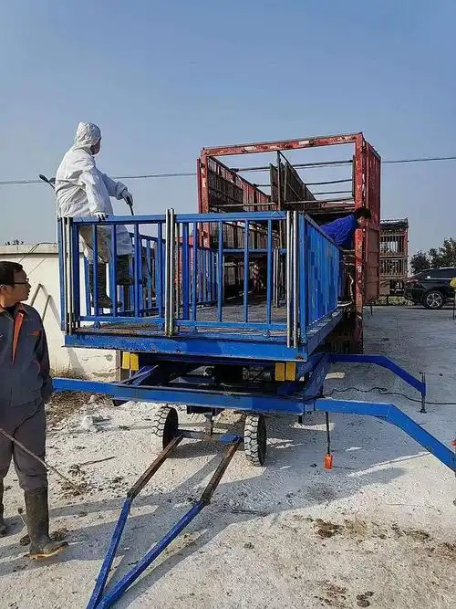 畜牧养殖移动式卸猪台车载装猪平台电动液压赶猪升降机仪陇地区直销