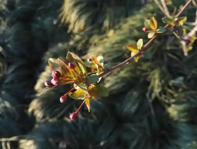 下面这一张,就是小光圈,慢快门.是不是景深就很大了.