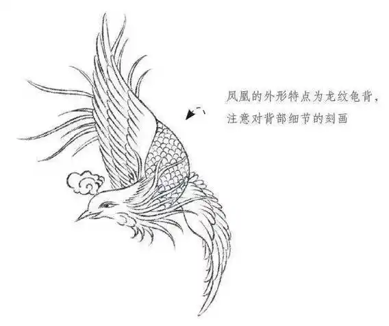 【国画教程】教你如何画凤凰_步骤_牡丹_羽毛
