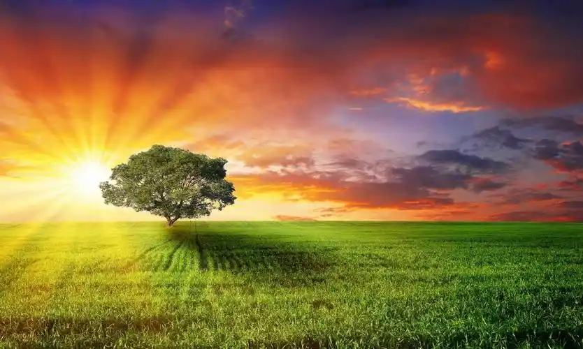 希望的田野上,锁屏图片,高清手机壁纸,风景-回车桌面