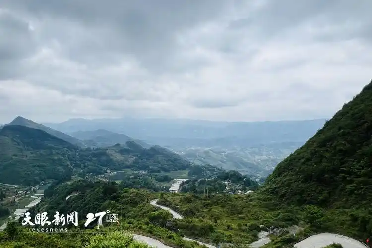 高质量发展蹲点采访正安瑞溪镇山上茶园山下泉四季人间