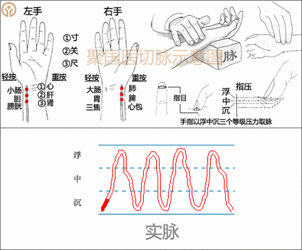 中医诊脉28脉象动态图清晰简单中医从业者爱好者值得收藏