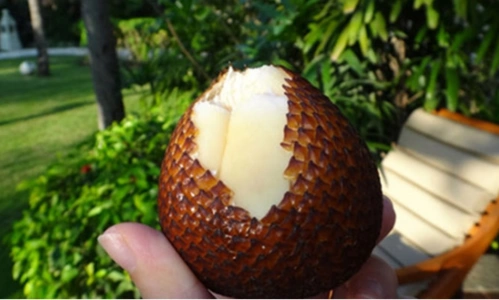 蛇皮果的营养多,可是真不能多吃!