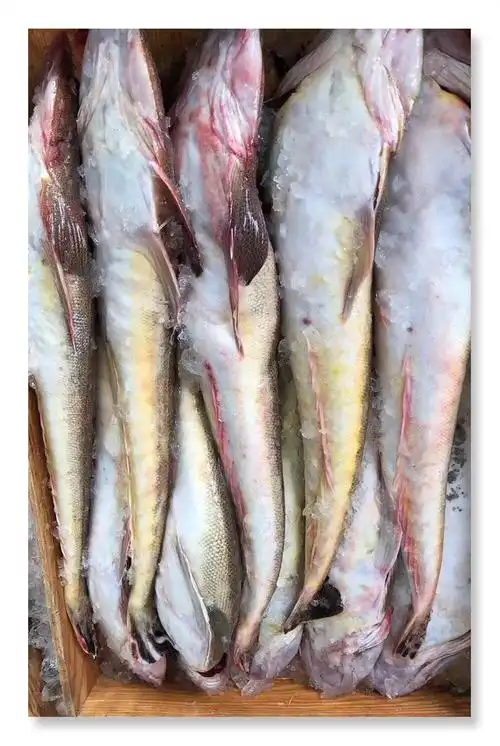 心态改变状态,微笑迎接每一天