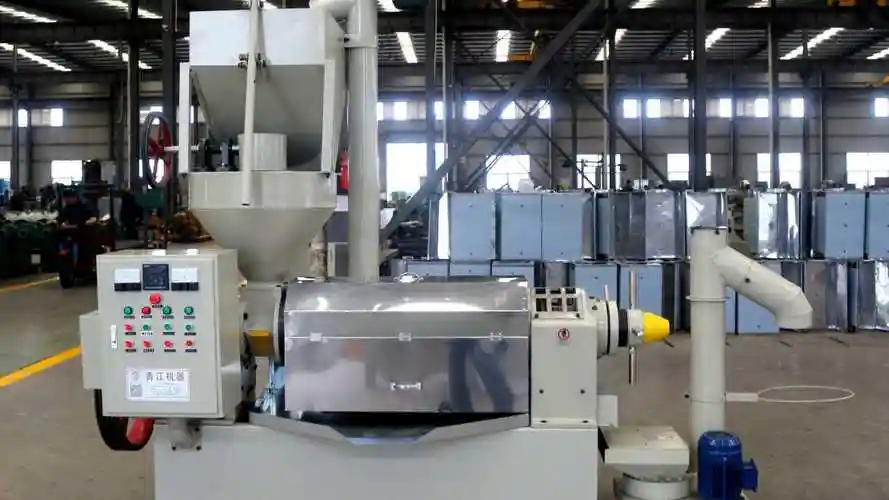 实拍:青江榨油机6yl-145l螺旋榨油机