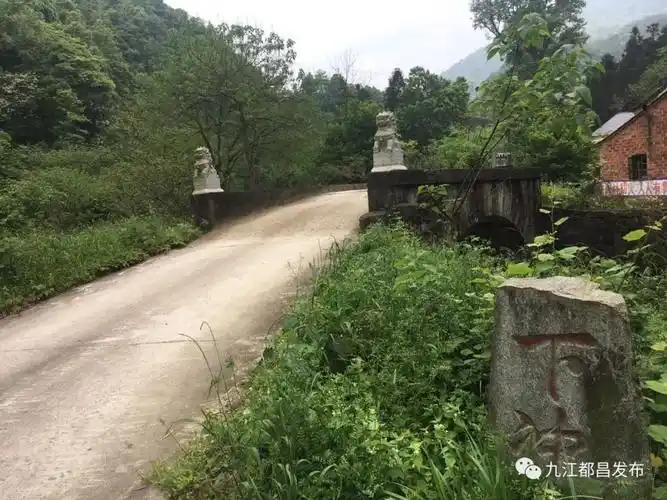 传家训扬新风之224/蔡岭镇上,下冲石村:望晓源里的红与绿(五)