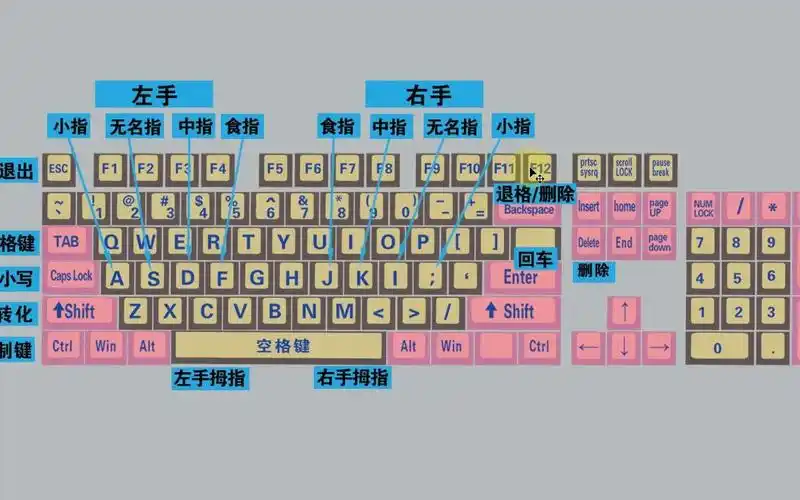 零基础电脑知识,掌握键盘标准指法,打字速度和准确率都可以提高