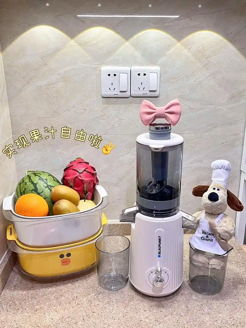 能做冰激凌的原汁机6015夏天的快乐源泉06.