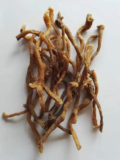 长白山野生玉竹 玉竹整根干品250克