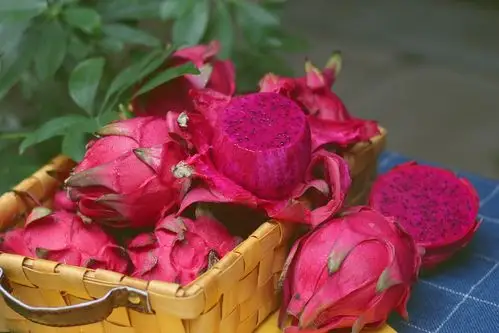 极柚台湾红心火龙果 5-6个/箱(共约5斤)