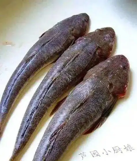潮汕渔家菜系,这些土味名称的海鱼,你们吃过吗?