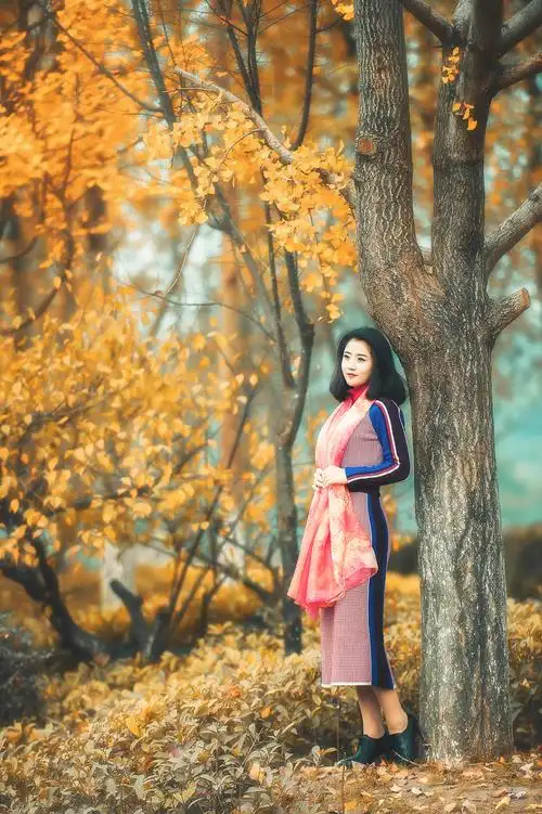 银杏树下的守望