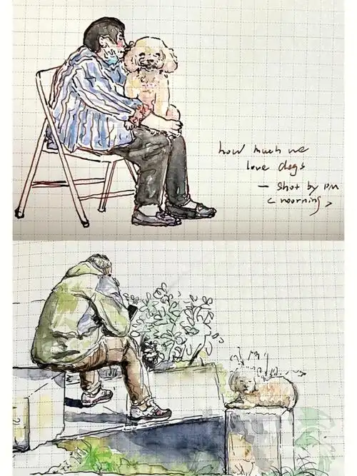 hobo五年分享周末和狗狗一起