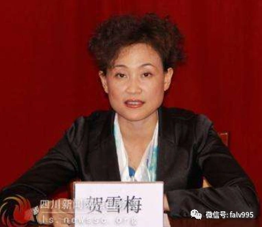 二婚的市委书记夫妻_腾讯新闻