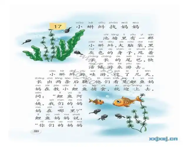 一年级下册语文课件小蝌蚪找妈妈ppt