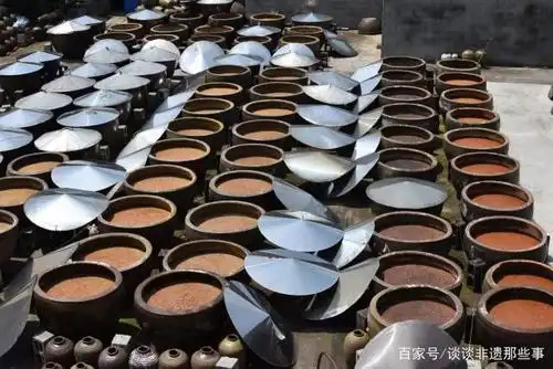 数十只酱缸正在晒酱