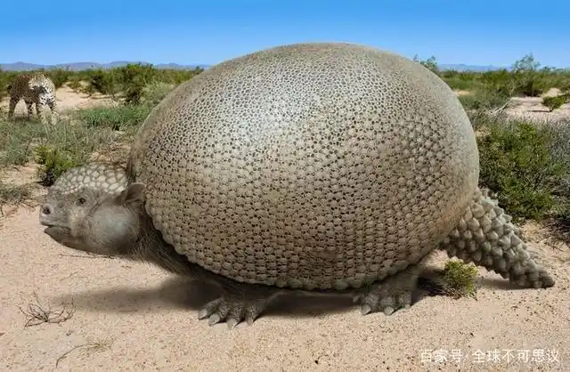 科学家想要复活的10种已灭绝动物