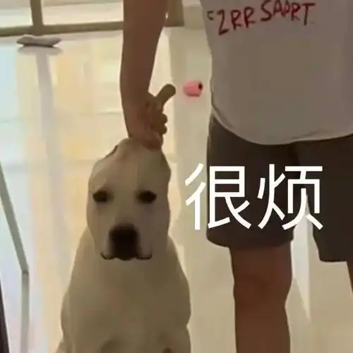 「当代显眼包的沙雕文案」37.