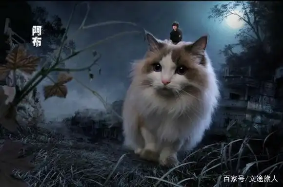 《寒武再临》:末世寒武爆发,生物疯狂进化,携手信仰与希望