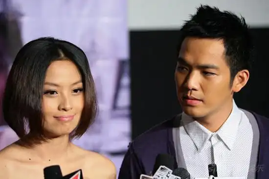 图文:《火线追凶》发布会-钟汉良侧视齐芳