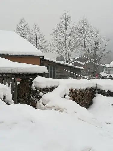 这就是我想象中的北方雪景吗?太美了!
