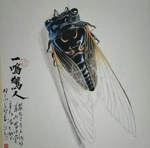 蝉:一鸣惊人之寓意,重生之寓意,既有金蝉脱壳之美意,又有佛家之禅意.