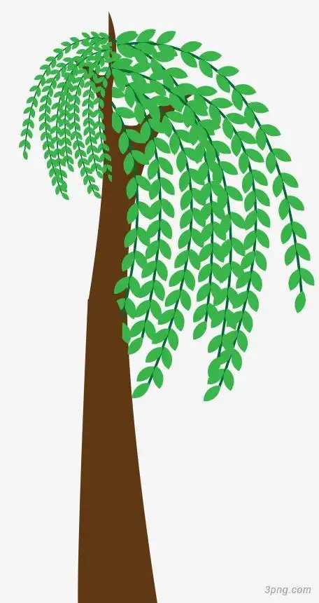 绿色手绘柳树叶子png素材透明免抠图片-动植人物